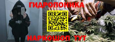 стаф Краснокаменск
