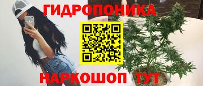 стаф Краснокаменск